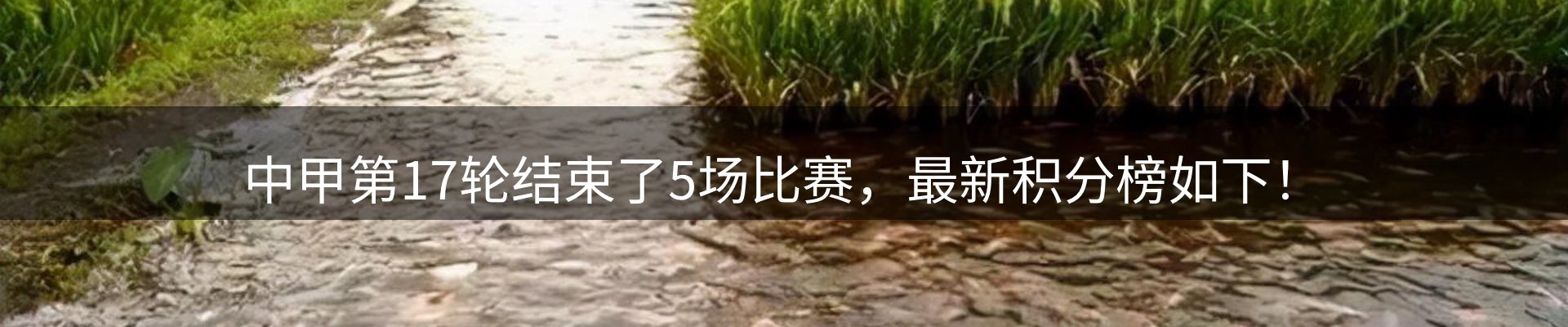 综合资讯