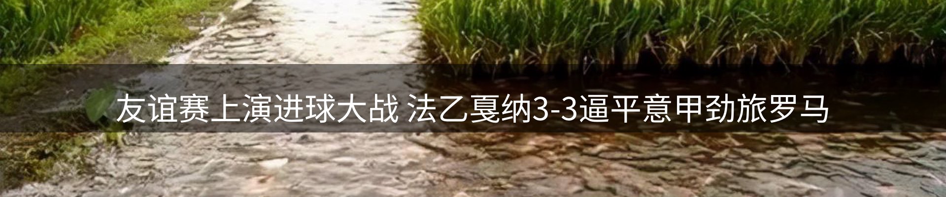 综合资讯