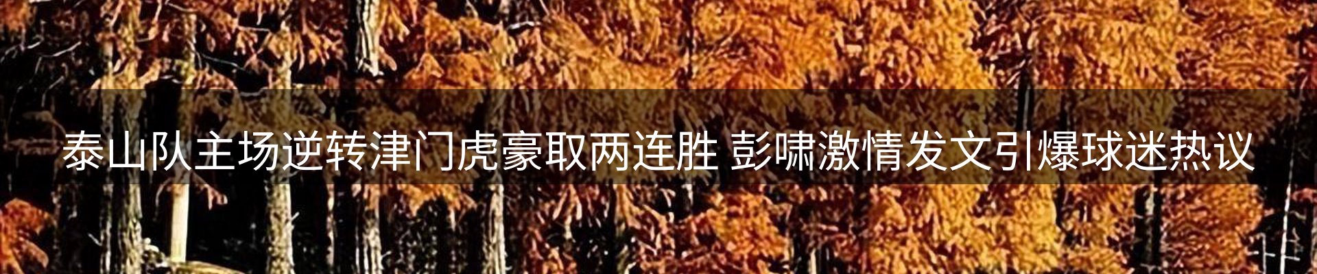 行业盘点